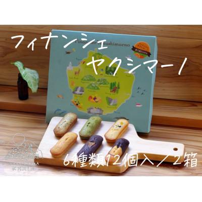 ふるさと納税 屋久島町 フィナンシェ ヤクシマーノ(12個入)2箱 [6種類の屋久島フィナンシェの詰め合わせ]