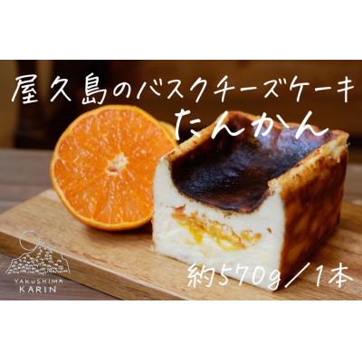 ふるさと納税 屋久島町 屋久島のバスクチーズケーキ[たんかん]