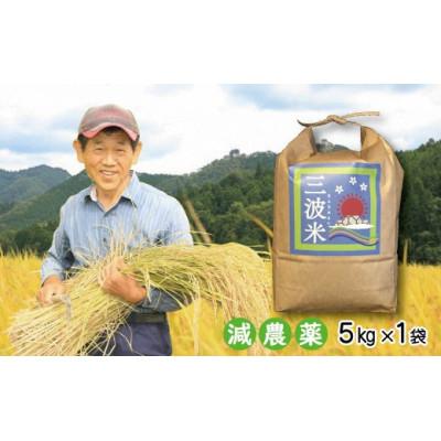 ふるさと納税 朝来市 栽培期間中農薬を減らしお作りした 三波農地を守る会のコシヒカリ(5kg)玄米