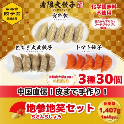ふるさと納税 宇都宮市 宇都宮餃子 寿限無 餃子地参地笑セット(3種30個)