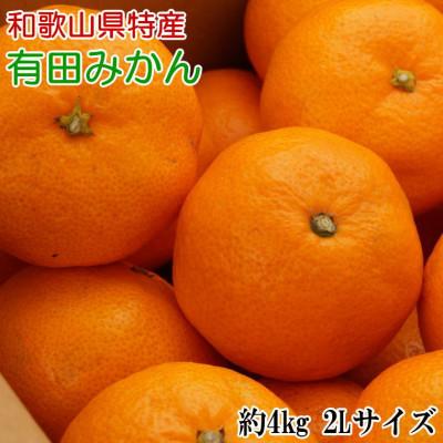 ふるさと納税 広川町 [秀品]和歌山有田みかん約4kg(2Lサイズ)