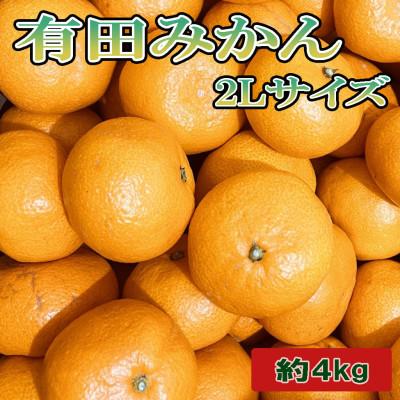 ふるさと納税 和歌山市 [秀品]和歌山有田みかん約4kg(2Lサイズ)「2026年11月中旬より順次発送」(和歌山市)