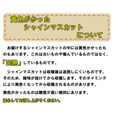 ふるさと納税お礼品トレンド】秋の味覚、ふるさと納税で最も人気な 