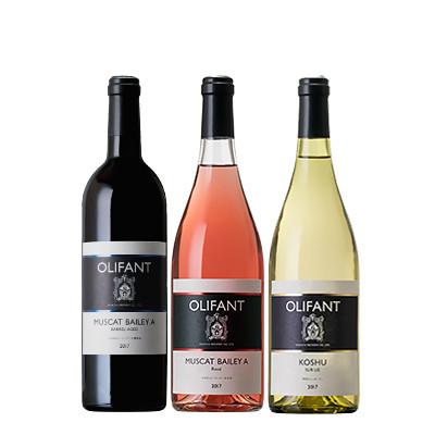 ふるさと納税 西桂町 笹一酒造OLIFANT[赤・白・ロゼ]750ml×各1本(合計3本)山梨県西桂町