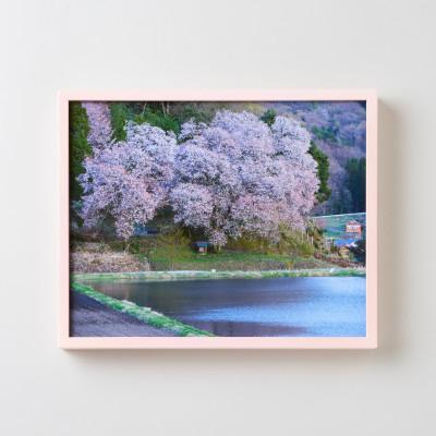 ふるさと納税 飯南町 GOSHIKI FRAME[春桜・Sサイズ](町産ヒノキのフォトフレーム)