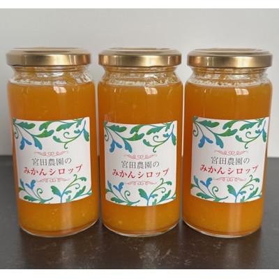 ふるさと納税 東海市 [宮田農園]みかんシロップ(ヨーグルトソース)3本入
