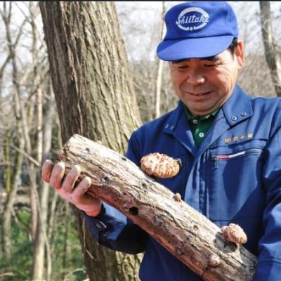 ふるさと納税 入間市 貫井園の原木干し椎茸 50g×3パック 肉厚どんこ