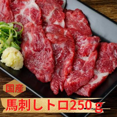 ふるさと納税 高森町 [国産馬刺し]熊本直送 ブロック肉 上霜降り(トロ)250g(高森町)