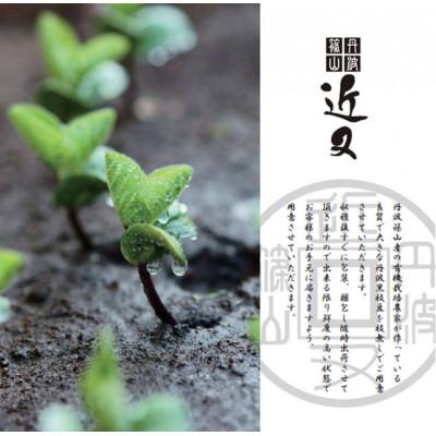 ふるさと納税 丹波篠山市 [令和8年10月以降お届け]先行受付!<有機JAS認定>丹波篠山産の有機黒枝豆(さや)1kg