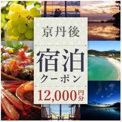 ふるさと納税 京丹後市 [京都・京丹後市観光公社]京丹後宿泊クーポン 12,000円券×1枚 温泉旅行やカニ旅行 ギフトにも