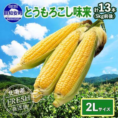 ふるさと納税 倶知安町 2026年 先行受付 北海道 倶知安 とうもろこし 味来(みらい) 2Lサイズ 5kg前後 産地直送