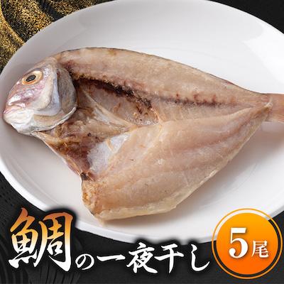 ふるさと納税 南知多町 鯛の一夜干し