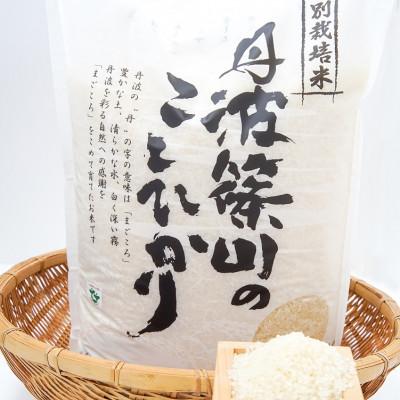 ふるさと納税 丹波篠山市 令和7年産!丹波篠山のこしひかり精米5kg
