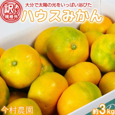 ふるさと納税 杵築市 [訳あり・規格外品] 今村農園のハウスみかん 約3kg