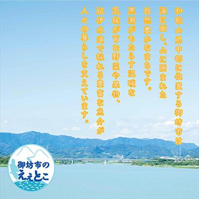 ふるさと納税 御坊市 【家庭用】紀州南高梅　はちみつ漬つぶれ梅　2kg |  | 03