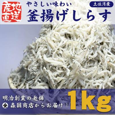 ふるさと納税 南国市 長年の経験と歴史で見極めた、釜揚げしらす高知県土佐湾産1kg(500g×2袋)