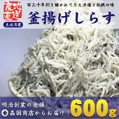 ふるさと納税 南国市 釜揚げしらす高知県土佐湾産600g(300g×2袋)新鮮・ふわふわ鮮度抜群!
