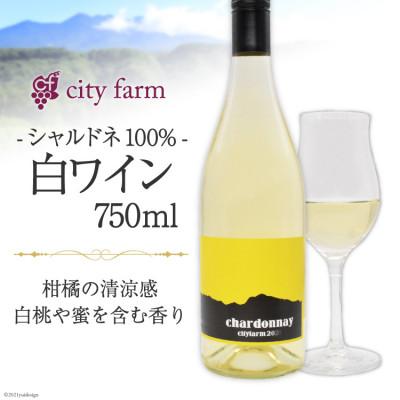 ふるさと納税 韮崎市 柑橘系の清涼感!! 白ワイン 北杜市産 シャルドネ100% 750ml×1本