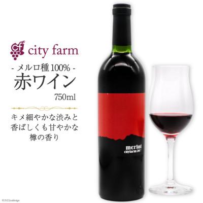 ふるさと納税 韮崎市 果実の凝縮味 赤ワイン 韮崎市穂坂産 メルロ100% 750ml×1本