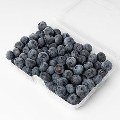 ふるさと納税 佐倉市 【大粒】冷凍 ブルーベリー 2kg (500g×4パック) |  | 01