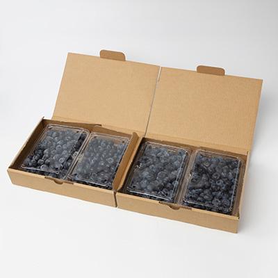 ふるさと納税 佐倉市 【大粒】冷凍 ブルーベリー 2kg (500g×4パック) |  | 03