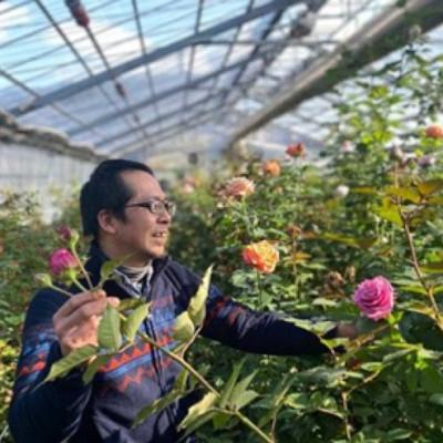 ふるさと納税 長門市 バラのアレンジメント花束(1256)