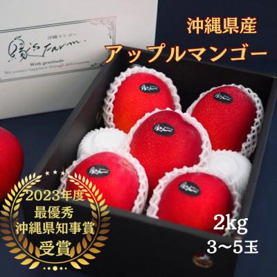 ふるさと納税 糸満市 [2026年発送]令和5年沖縄県マンゴーコンテスト最優秀賞 縁'sファームのアップルマンゴー2kg