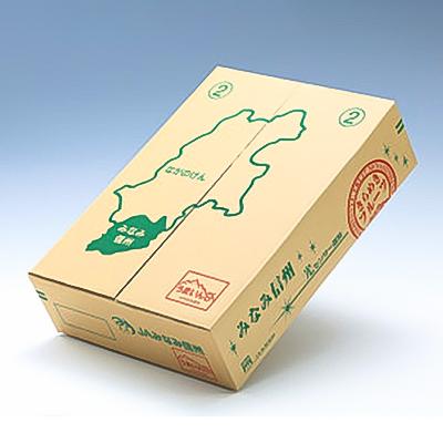ふるさと納税 飯田市 【南信州産】南水　秀品　約5kg　(8〜16玉)【2026年9月中旬〜順次発送】 |  | 01