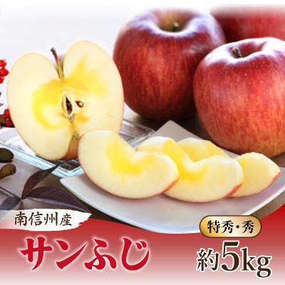 ふるさと納税 飯田市 [南信州産]サンふじ 約5kg 特秀・秀