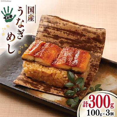 ふるさと納税 吉田町 &lt;ての字&gt;鰻めし3個セット