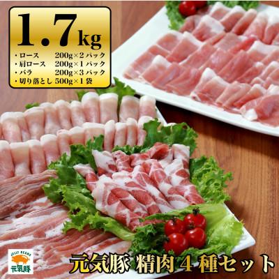 ふるさと納税 多古町 千葉県産豚肉 元気豚 精肉4種セット 1.7kg