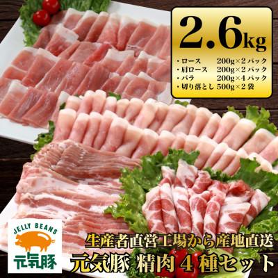 ふるさと納税 多古町 千葉県産豚肉 元気豚 精肉4種セット[大盛り] 2.6kg