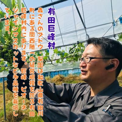 ふるさと納税 有田川町 【先行受付・2026年発送】農園直送 朝採れ シャインマスカット 約4kgの画像