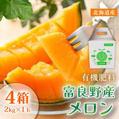 ふるさと納税 富良野市 【2027年発送先行受付】北海道富良野産 特秀品メロン 2kg×1玉4箱 糖度15度以上 赤肉メロン | 