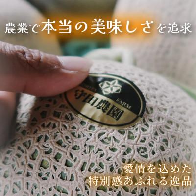ふるさと納税 富良野市 【2027年発送先行受付】北海道富良野産 特秀品メロン 2kg×1玉4箱 糖度15度以上 赤肉メロン |  | 01