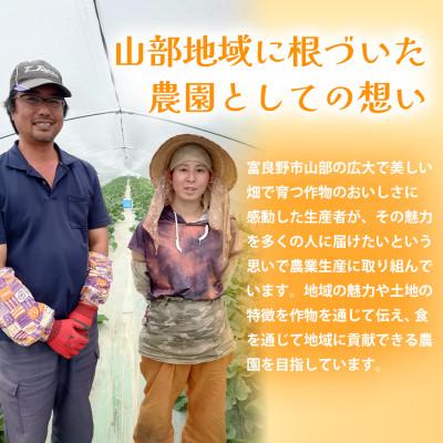 ふるさと納税 富良野市 【2027年発送先行受付】北海道富良野産 特秀品メロン 2kg×1玉4箱 糖度15度以上 赤肉メロン |  | 02