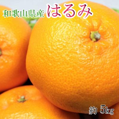 ふるさと納税 紀の川市 [大玉]和歌山県産はるみ約5kg(2L〜5Lサイズおまかせ・ご家庭用)