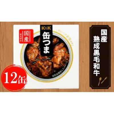 ふるさと納税 岩手町 缶つま 国産 熟成黒毛和牛ロースト 12缶 お酒 つまみ 小分け おかず