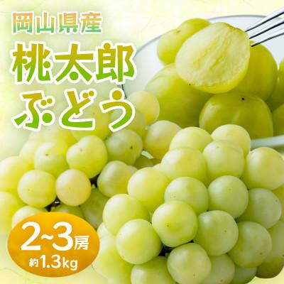 ふるさと納税 岡山市 2026年9月より順次発送岡山県産 桃太郎ぶどう約1.3kg(2〜3房)(クール便)