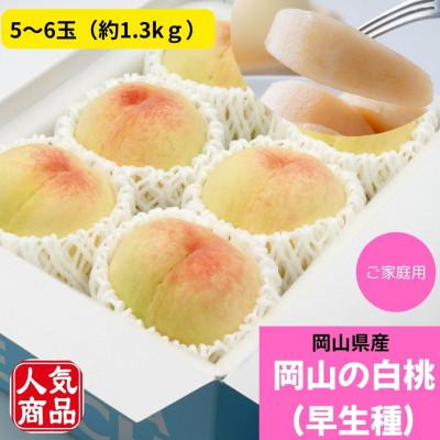ふるさと納税 岡山市 2026年6月より順次発送 ご家庭用 岡山の白桃(早生種)約1.3kg
