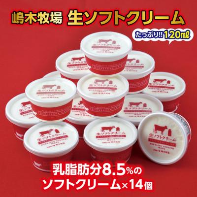 ふるさと納税 池田町 [嶋木牧場]牧場の生ソフトクリーム 120ml×14個 スイーツ 十勝アイスクリーム詰め合わせセット