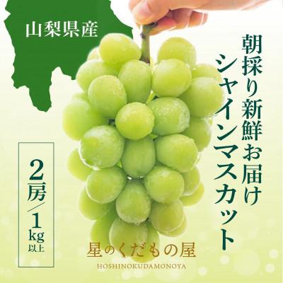 ふるさと納税 笛吹市 [2026年発送]星のくだもの屋 シャインマスカット2房(1kg以上)山梨県産