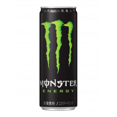ふるさと納税 海南市 モンスターエナジー 355ml×24本 ×【2ケース