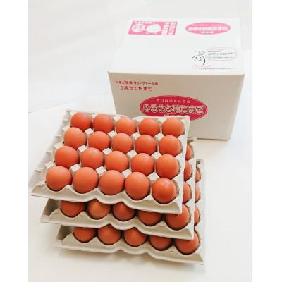 ふるさと納税 宇城市 ふるさと地たまご50個入り+破損補償10個