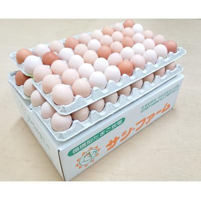 ふるさと納税 宇城市 朝採りさくらたまご80個入り+破損補償10個