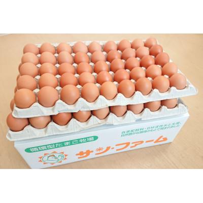 ふるさと納税 宇城市 朝採りあかねたまご80個入り+破損補償10個