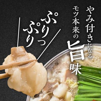 ふるさと納税 上毛町 博多もつ鍋前田屋のもつ鍋セット　しょうゆ味2〜3人前