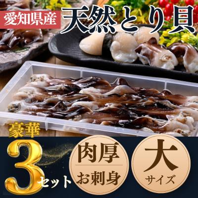 ふるさと納税 南知多町 純国産[貝専門店]肉厚 トリ貝 刺身 [大9枚入り]3セット 岬だより