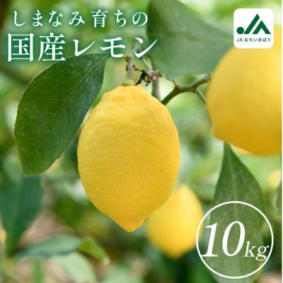 ふるさと納税 今治市 [先行受付]レモン 10kg 国産 きれい おいしい
