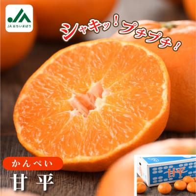 ふるさと納税 今治市 [先行予約]甘平 5kg 家庭用 高級柑橘 甘い